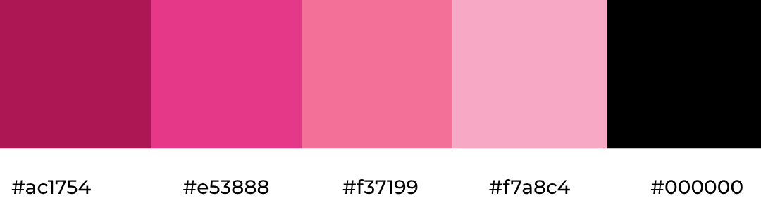 chitra beauty bliss color pallete