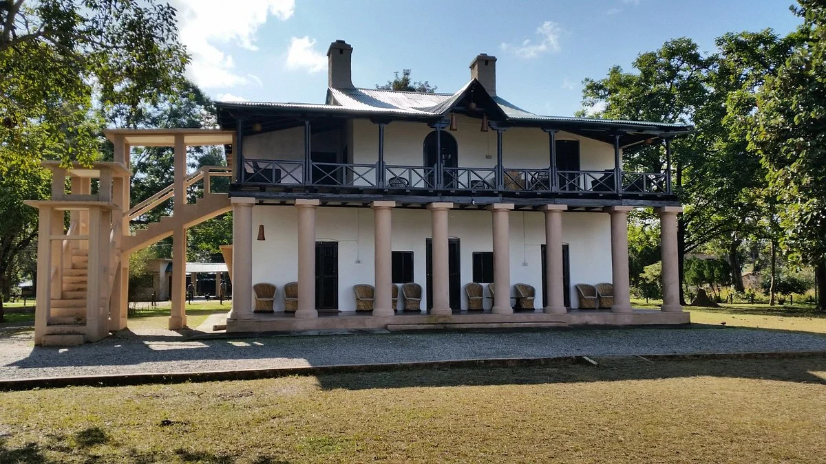 Luxury Forest Lodge
